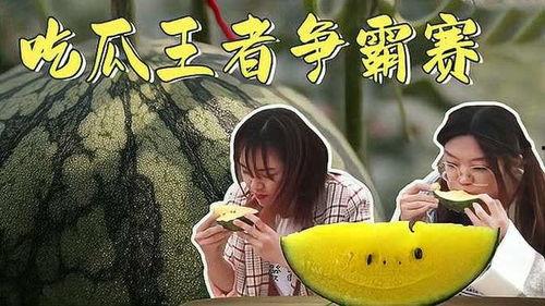 娱乐吃瓜酱平淡期,平淡期下的静默观察